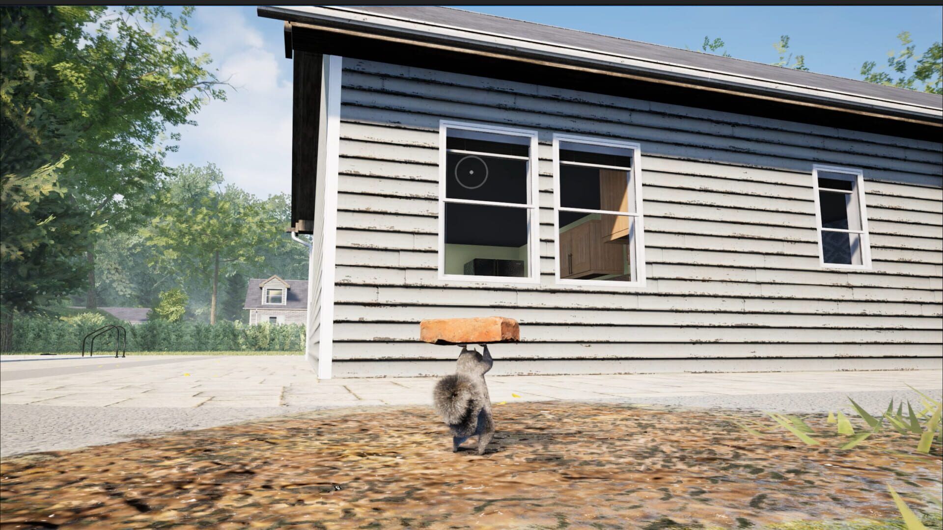 Squirrel with a Gun thumbnail 5