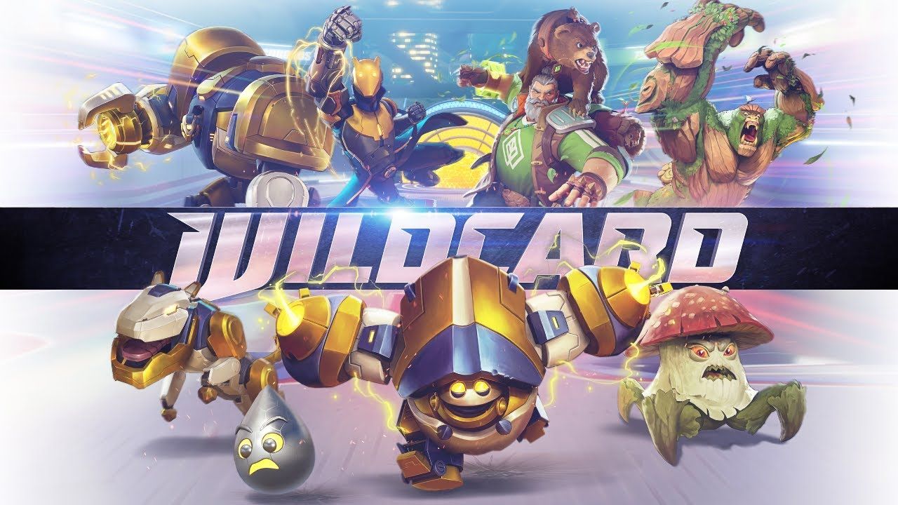 Wildcard thumbnail 2